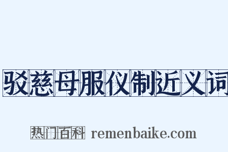 驳慈母服仪制近义词是什么意思的图片